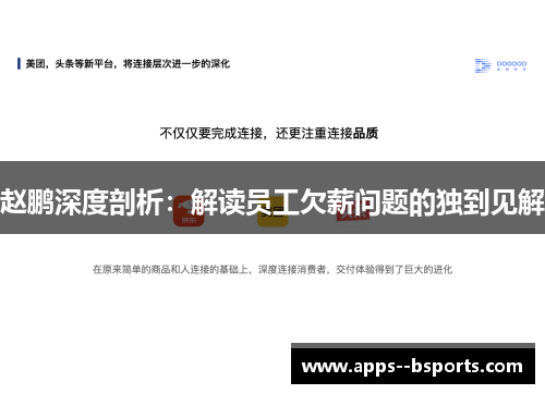赵鹏深度剖析：解读员工欠薪问题的独到见解